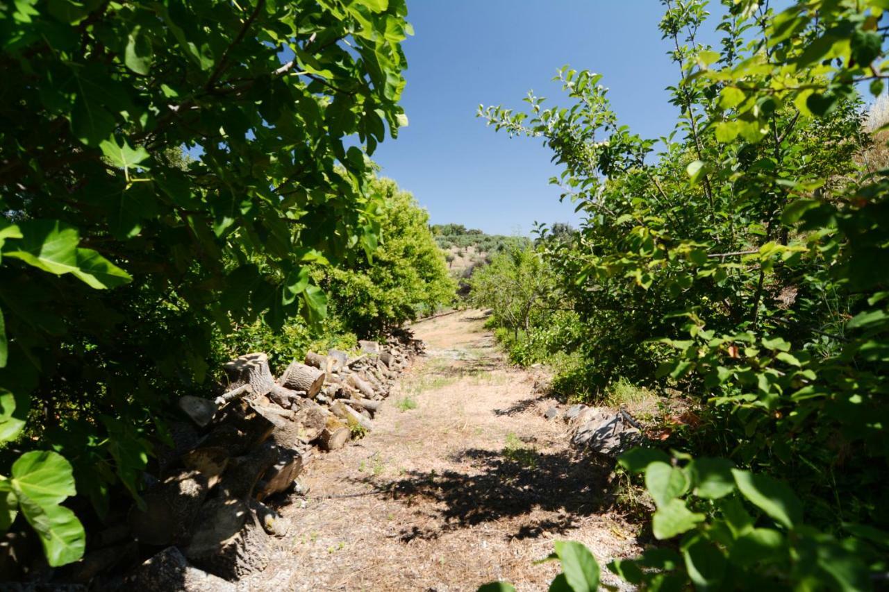 Moinho Da Capela Villa Campo Maior Eksteriør billede